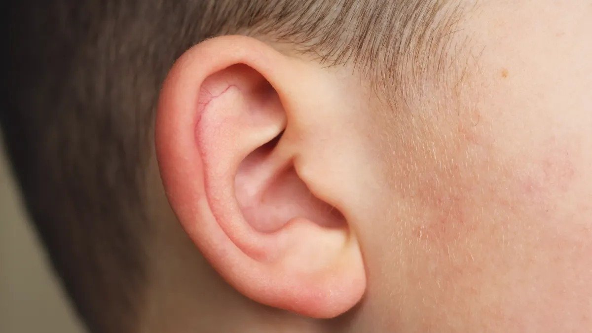 Qui a découvert la médecine auriculaire ?