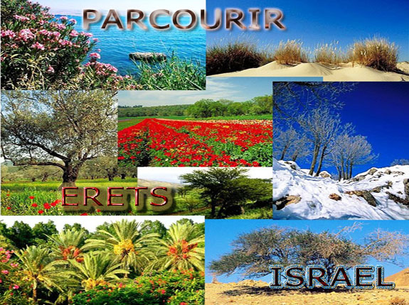 Paysages d'Israel