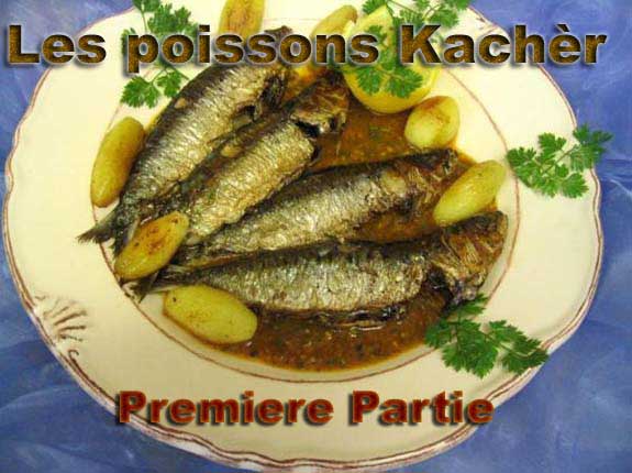 Les Poissons Kachèr : Partie I
