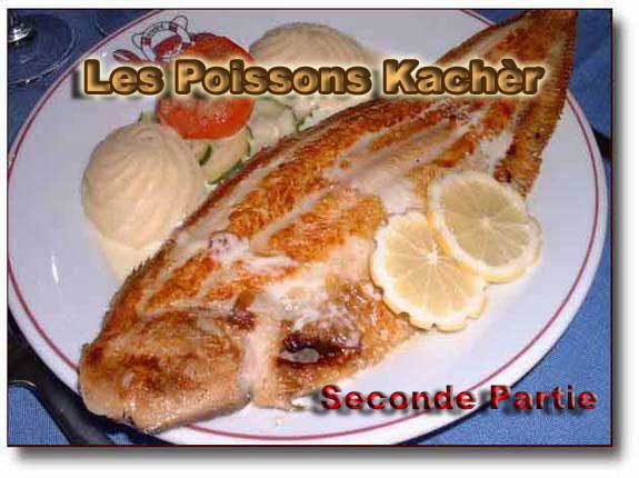 Les Poissons Kachèr : Partie II