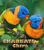 Chabbate Chira