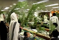 Hocha'anote en Israël