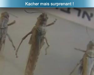 Kacher, mais surprenant !