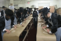 Boro Park au garde à vous