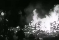Berlin 1933 - Le feu des Livres