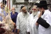 Le rav Ovadia Yossef visite des abattoirs