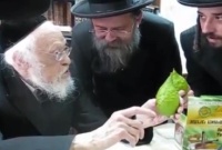 Rav Shalom Elyashiv Zatsa"l examine son Étrog