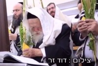 Rav Kanievski accompli la Mitsva du Loulav