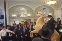Un cheval dans un mariage