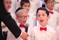 La Torah est un arbre de vie