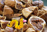 Les pièges de la cuisine - Les FIGUES