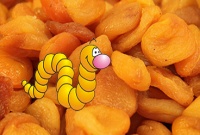 Les pièges de la cuisine - Les ABRICOTS