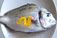 Les pièges de la cuisine - Le poisson décongelé