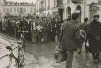 La rafle de Tunis