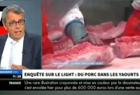 Enquête sur le light : du porc dans les yaourts