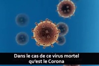 Rav Zamir Cohen : Comprendre le corona