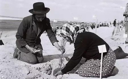 La tradition de planter des arbres à Tou Bichvate