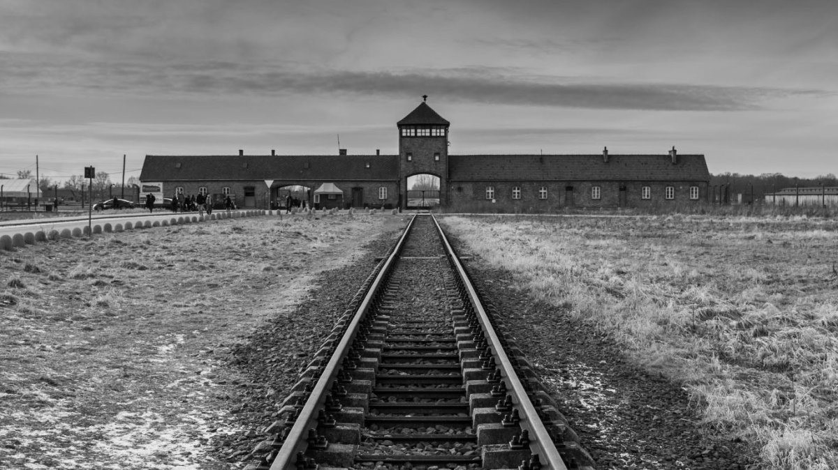 La Torah pendant la shoah : un pilier spirituel dans les camps