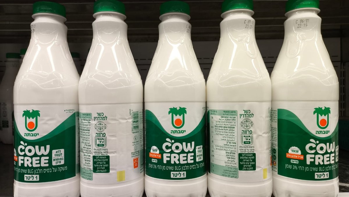 Le Nouveau Lait israélien : une révolution sans vaches, sans lactose… et Parvé