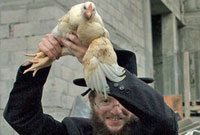Le Minhag des Kapparote
