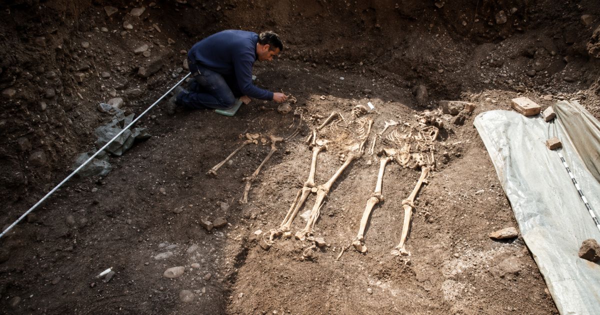Illustration d’une fouille archéologique dans l’ancien cimetière juif d’Erfurt, en Allemagne, montrant des sépultures médiévales mises au jour et examinées avec précaution par un archéologue. L’image évoque les recherches génétiques menées sur les restes de membres de la communauté juive ashkénaze du Moyen Âge.