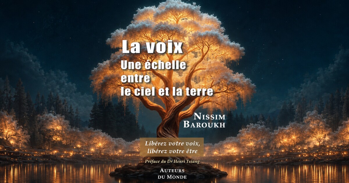 Couverture du livre de Nissim Baroukh : Un arbre illuminé dans la nuit