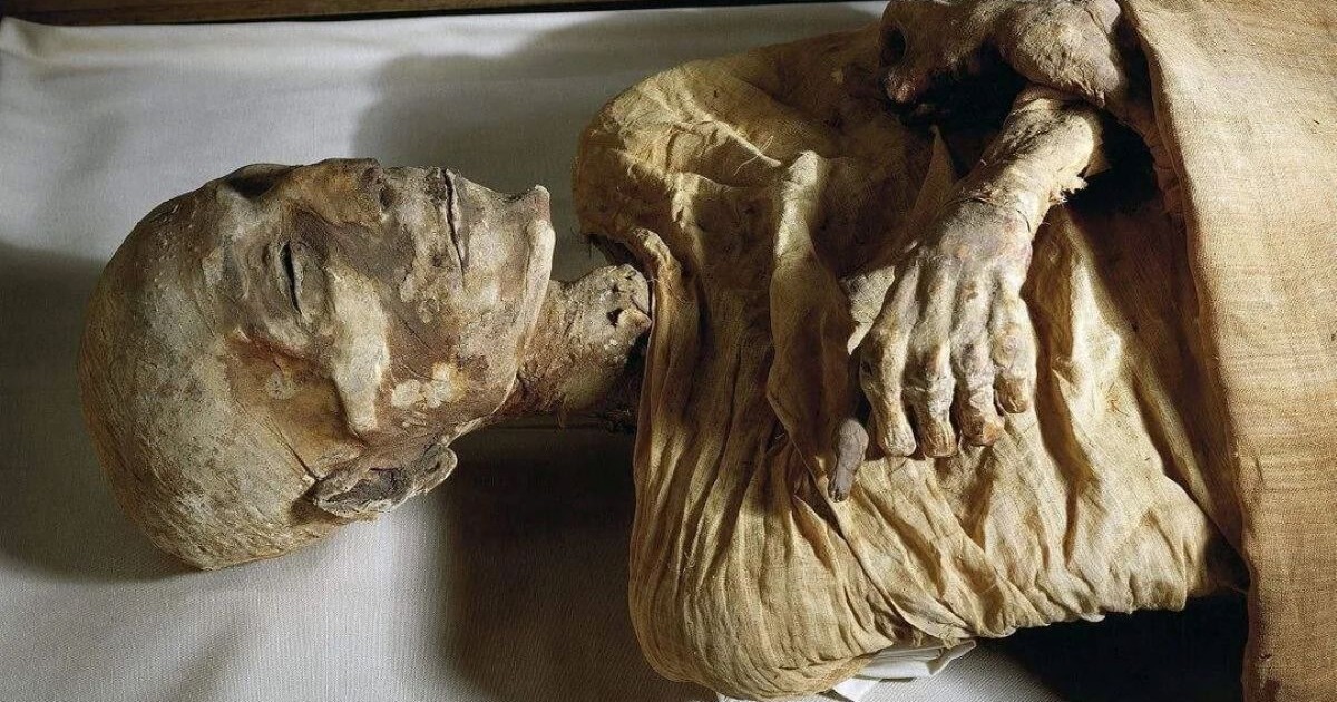 Momie préservée du pharaon Mérenptah, fils et successeur de Ramsès II de la XIXe dynastie égyptienne.