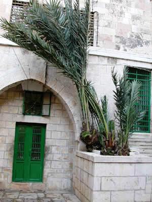 3. Adam et 'Hava