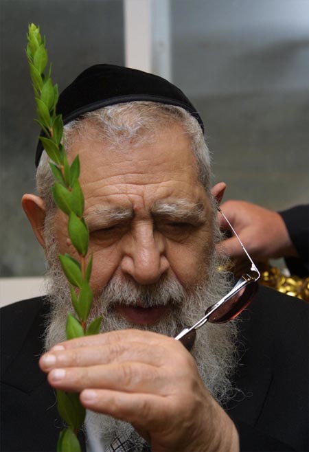 23. Le Rav vérifie une branche de Hadass