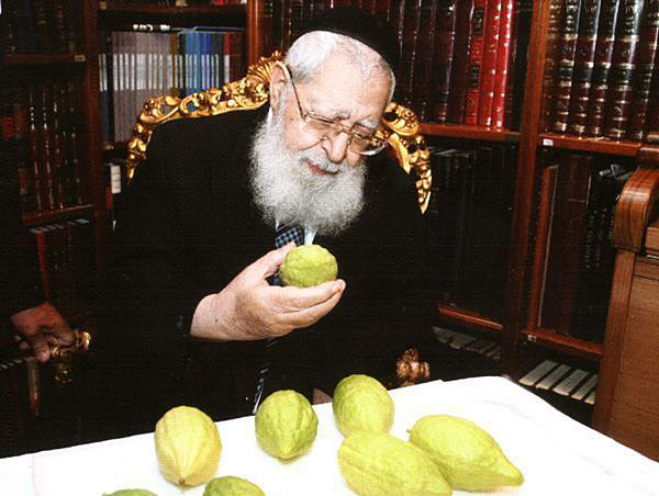 24. Le Rav vérifie la Kacheroute des Étrogim
