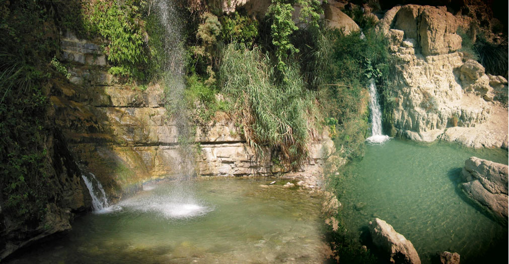 18. Canyons et cascades de Ein Gueidi proches de la mer morte.