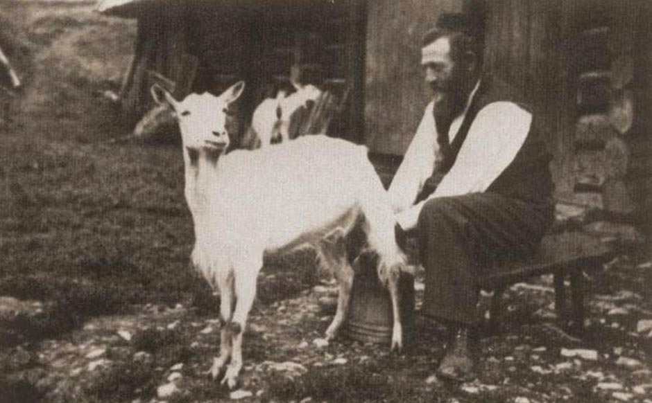 3. Fermier juif en Rosachacz.