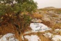 Les tombeaux des fils de Ya'akov Avinou localisés?
