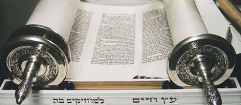 Intronisation d'un Sefer Torah au Kibboutz