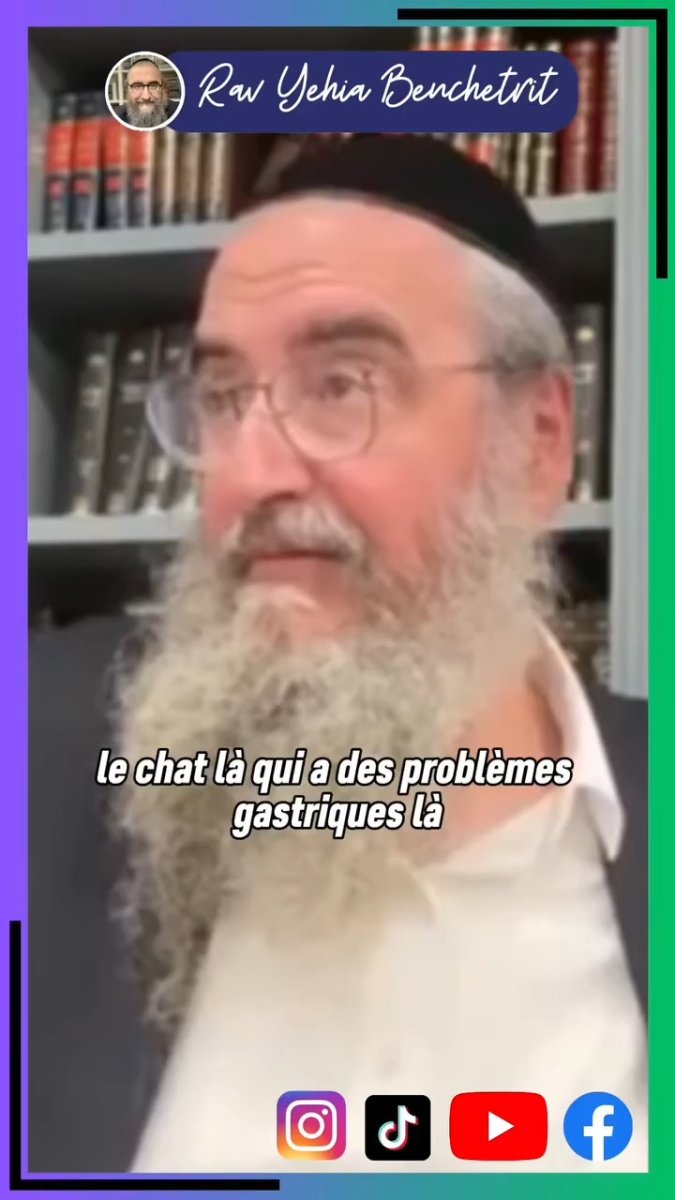 Chat GPT-Rav Benchetrit