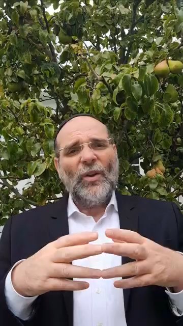 Séli'hote : rigueur et miséricorde - Rav Chemouel Houri