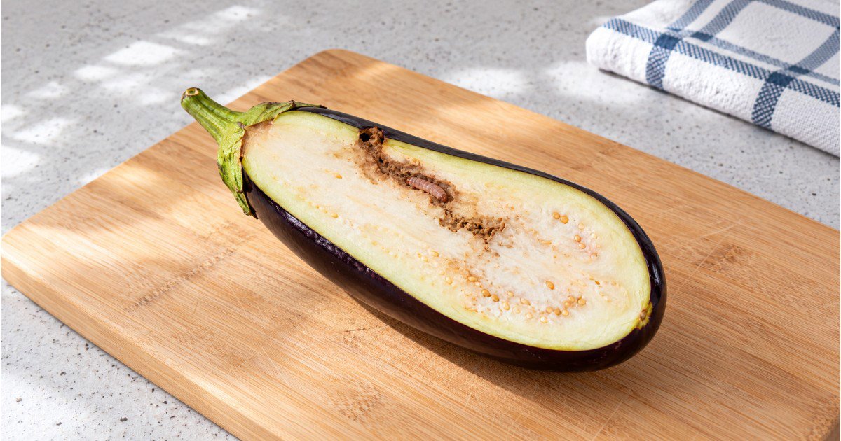 Les pièges de la cuisine - Les AUBERGINES